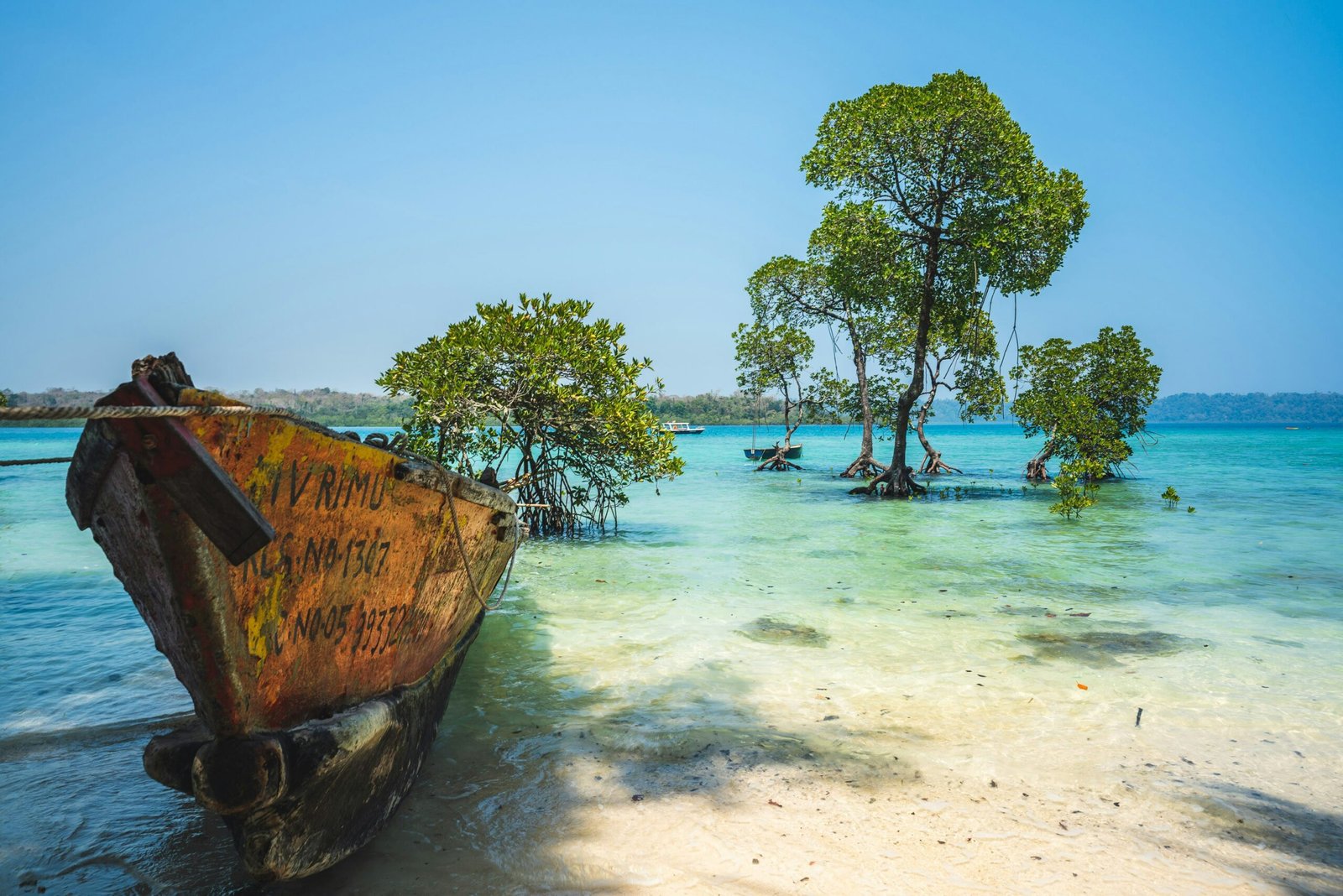 brown boat on beach during daytime